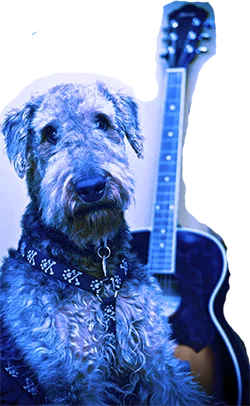 hopless hopelessness blues