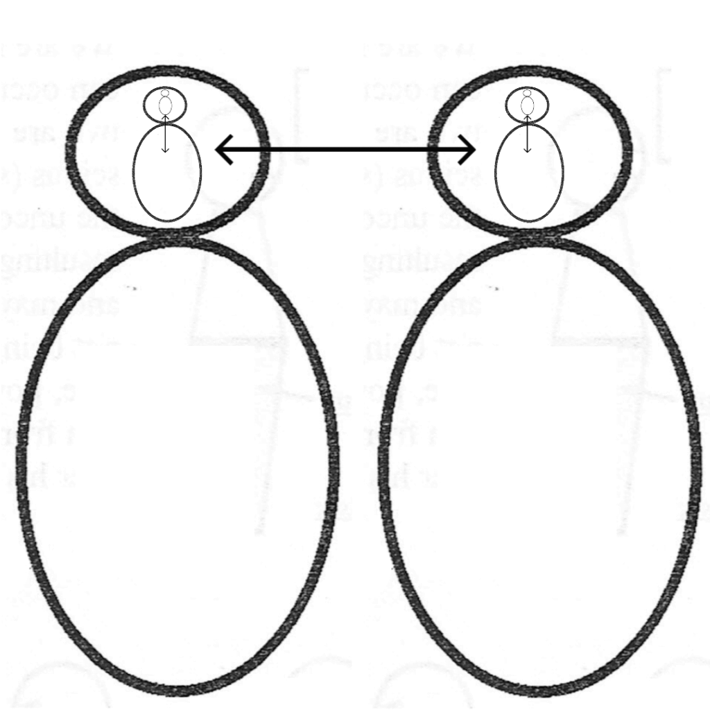 object relations relationships