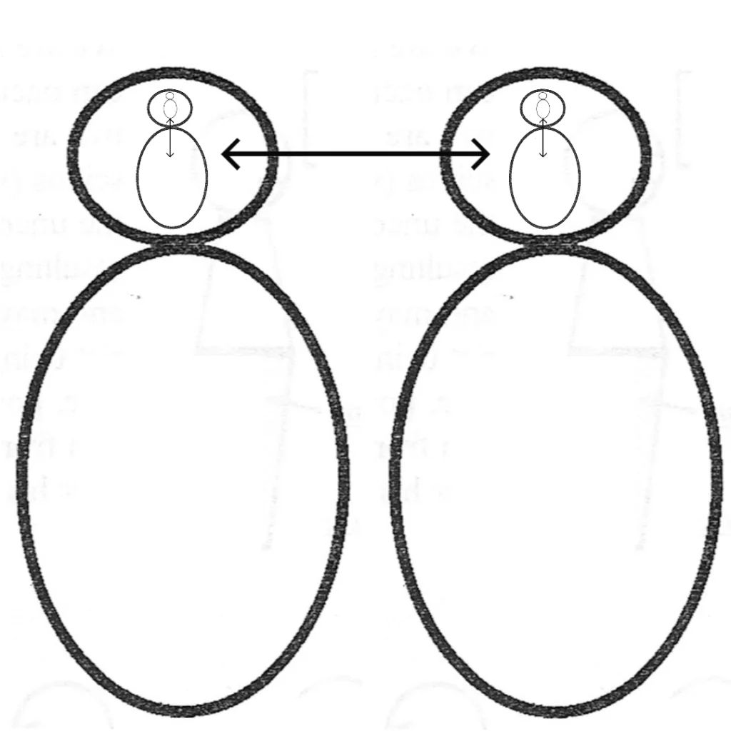 object relations relationships