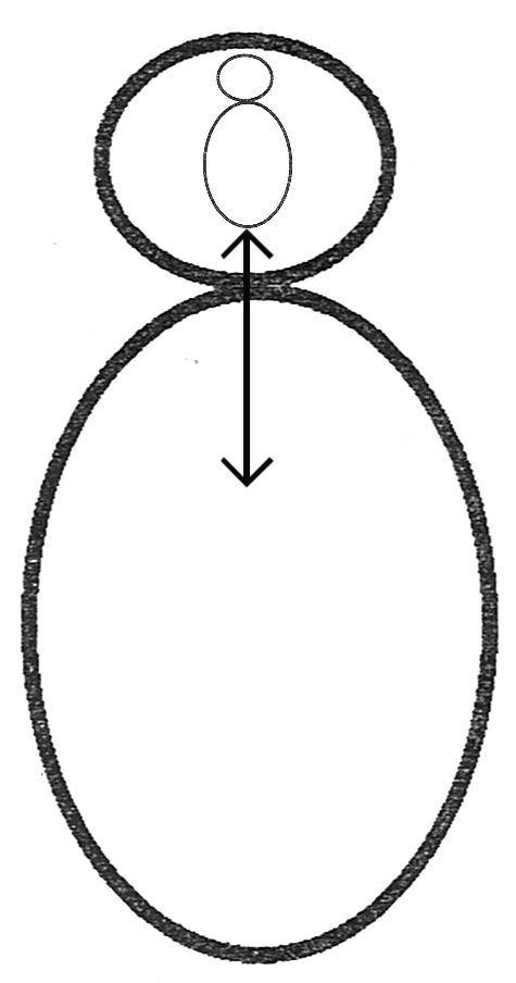 internal object relation